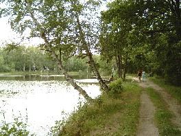 schwarzer teich